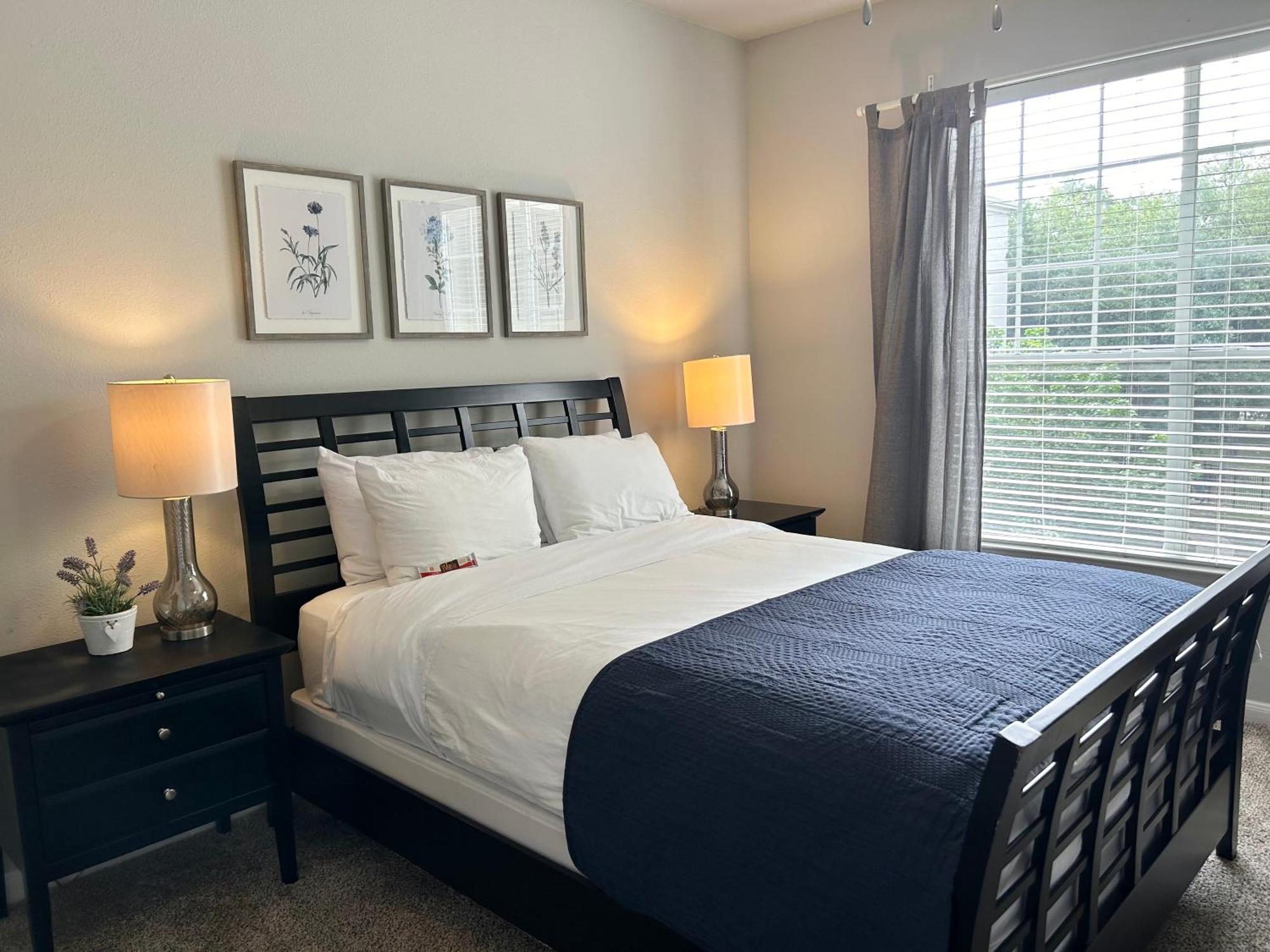 Hidden Gem At Med Center 2Br & 2Ba Apartment Houston Ngoại thất bức ảnh