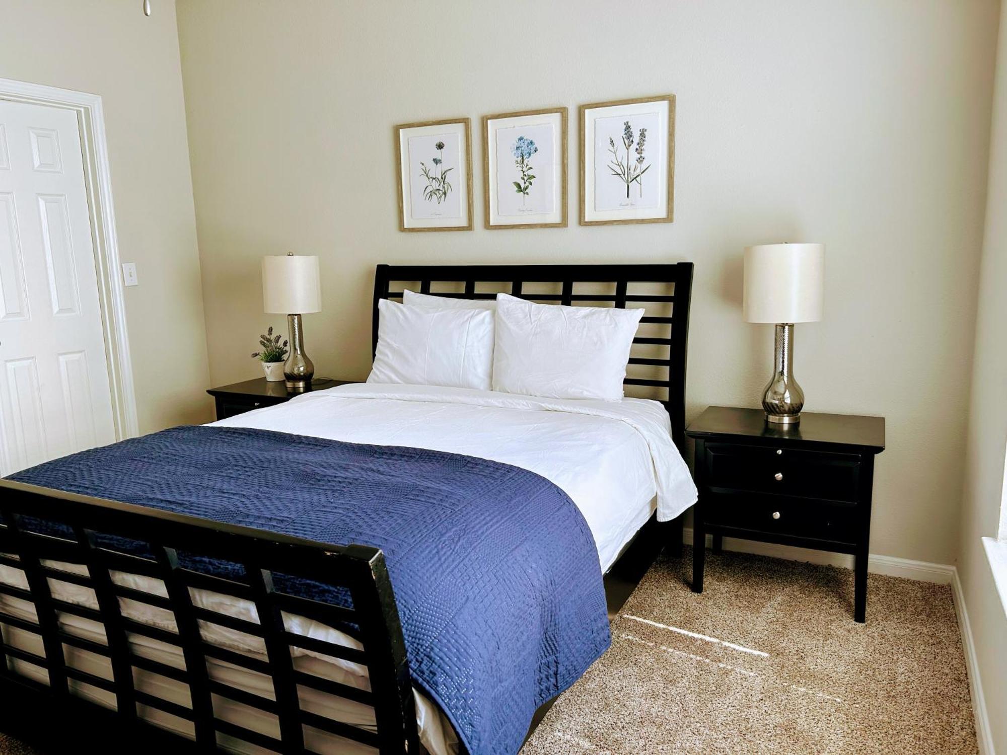 Hidden Gem At Med Center 2Br & 2Ba Apartment Houston Ngoại thất bức ảnh