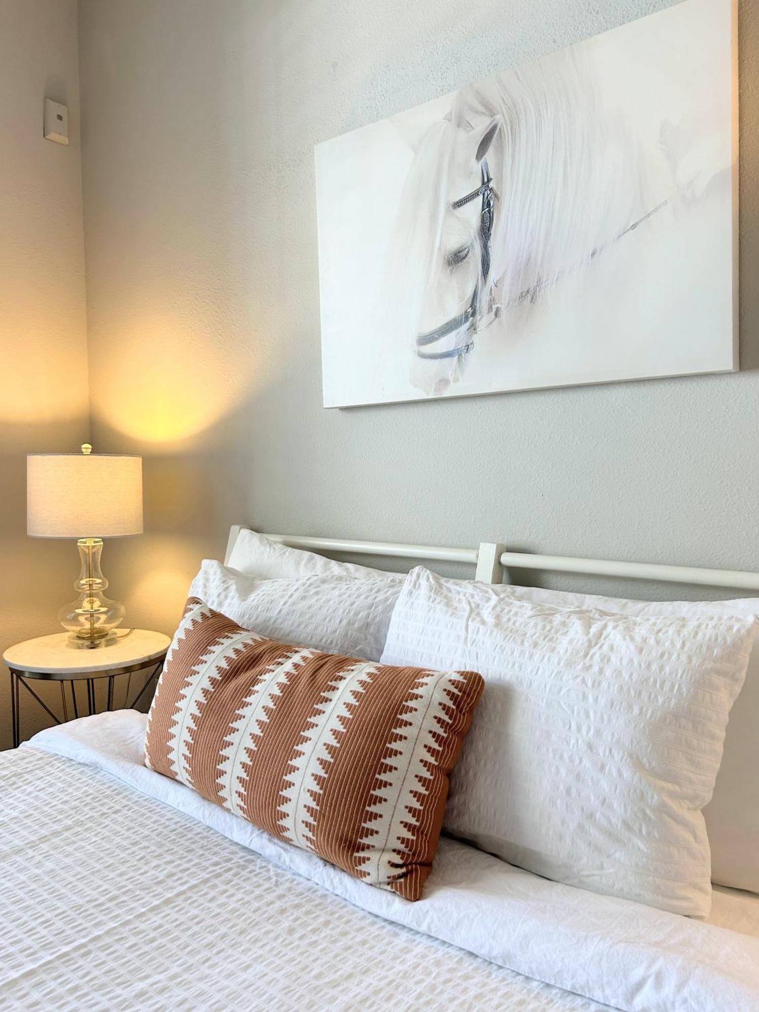 Hidden Gem At Med Center 2Br & 2Ba Apartment Houston Ngoại thất bức ảnh